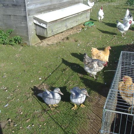 South Moor Farm Bed & Breakfast Scarborough Dış mekan fotoğraf