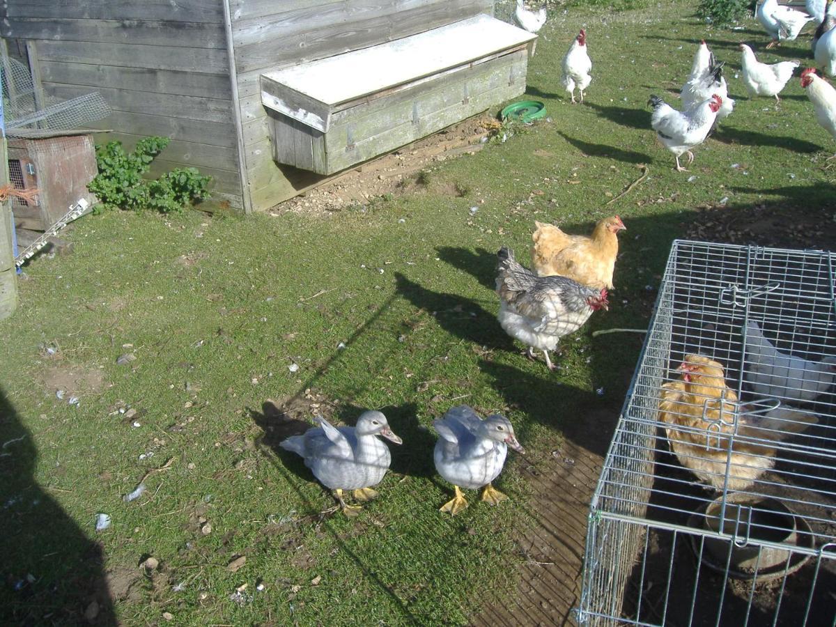 South Moor Farm Bed & Breakfast Scarborough Dış mekan fotoğraf